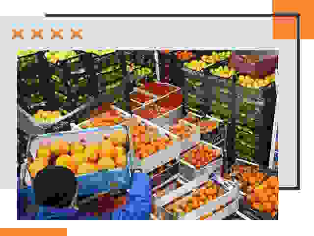Перевозка скоропортящихся продуктов в мирном